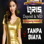 Perbedaan Bonus Deposit dan Bonus Free Spin